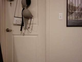bigbootybullynisha — Camsoda recorded stream image, 14.08.2026 01:10