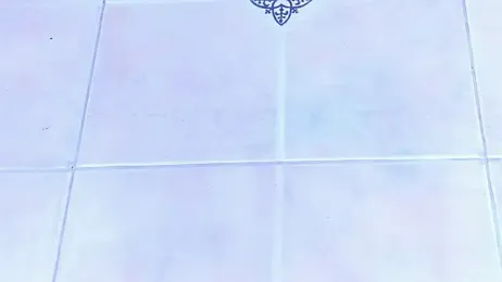 playsgirlhot — Stripchat recorded stream screenshot (12 Mar 2025)