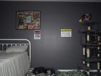 sydaffect — Chaturbate recorded stream image, 15.08.2026 02:30