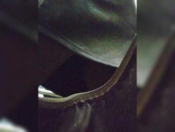 EditaMilf — Bongacams recorded stream image, 27.08.2026 12:10