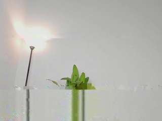 irisallen — Camsoda recorded stream screenshot (13 Mar 2025)