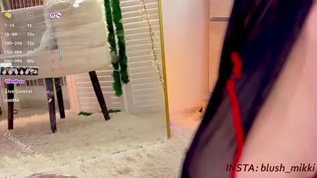 mikkixmeow — Stripchat recorded stream image, 29.08.2026 12:10