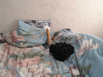Ksenia-Cat444 — Bongacams recorded stream image, 30.08.2026 04:50