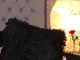 Kimberly Walton — Flirt4free recorded stream image, 13.03.2025 10:10
