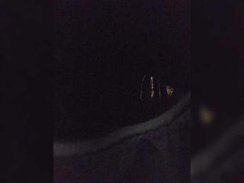 EditaMilf — Bongacams recorded stream image, 07.09.2026 09:20