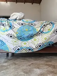 shelby_kutter — Stripchat recorded stream image, 08.09.2026 16:40