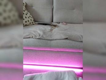Tina_ — Bongacams recorded stream image, 15.03.2025 08:10