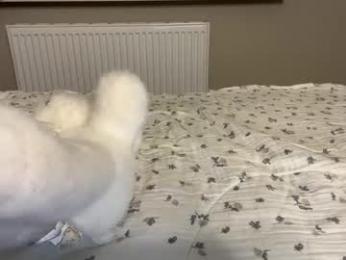 endlessmia — Chaturbate recorded stream screenshot (15 Mar 2025)