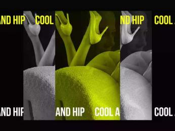 Taanni — Bongacams recorded stream screenshot (02 Feb 2025)