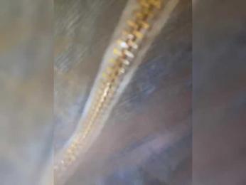 __Baby__ — Bongacams recorded stream screenshot (20 Mar 2025)