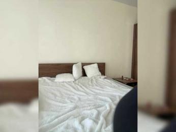 BabyDarii — Bongacams recorded stream screenshot (20 Mar 2025)