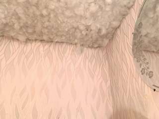 begoniia — Camsoda recorded stream image, 21.03.2025 03:10