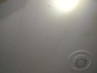 apotheosiss — Camsoda recorded stream image, 29.03.2025 05:00