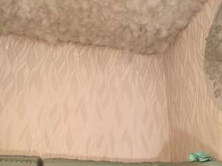 begoniia — Camsoda recorded stream image, 30.03.2025 03:10