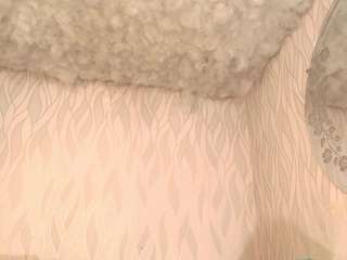 begoniia — Camsoda recorded stream image, 30.03.2025 03:10