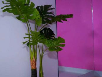 NatyDesiree — Bongacams recorded stream image, 31.03.2025 04:20