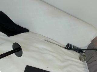 bella-sweeet — Camsoda recorded stream image, 31.03.2025 13:40