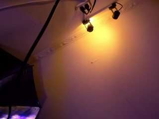 apotheosiss — Camsoda recorded stream image, 02.04.2025 00:00