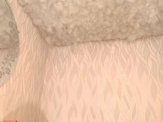 begoniia — Camsoda recorded stream image, 03.04.2025 03:10