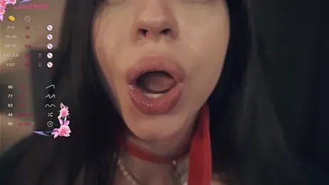 vivid_girls_vg — Stripchat recorded stream image, 14.04.2025 09:10