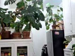 sexysagittarius1212 — Camsoda recorded stream image, 21.04.2025 00:50