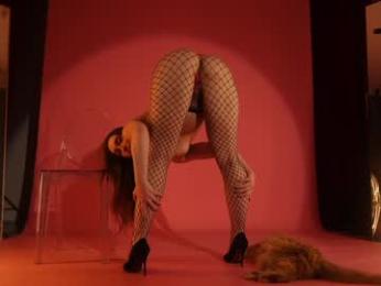 _meganmeow_ — Chaturbate recorded stream screenshot (23 Apr 2025)