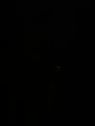 Bigbuttbrooklynn — Stripchat recorded stream image, 29.04.2025 02:30