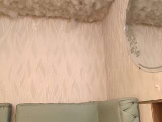 begoniia — Camsoda recorded stream image, 29.04.2025 03:00