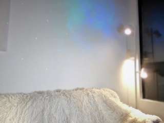 ashleygreene — Camsoda recorded stream image, 02.05.2025 01:40