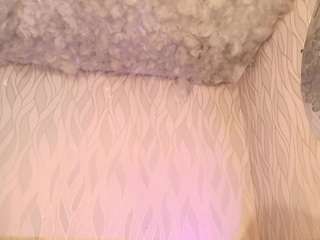 begoniia — Camsoda recorded stream image, 05.05.2025 03:00