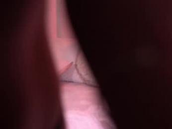 sary_hott — Chaturbate recorded stream image, 06.05.2025 09:10