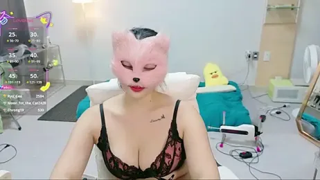 Kor_Cat — Stripchat recorded stream image, 09.05.2025 11:50