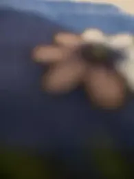 COUPLLE_VILLAGE — Stripchat recorded stream image, 10.05.2025 01:20