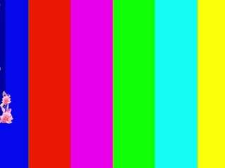leilagladish — Camsoda recorded stream image, 10.05.2025 06:00