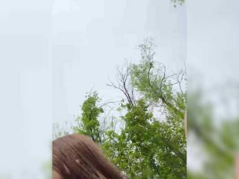 -EmilyBaby- — Bongacams recorded stream image, 12.05.2025 08:20
