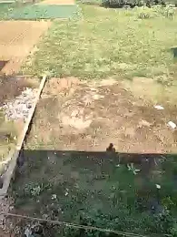 COUPLLE_VILLAGE — Stripchat recorded stream image, 08.02.2025 03:40